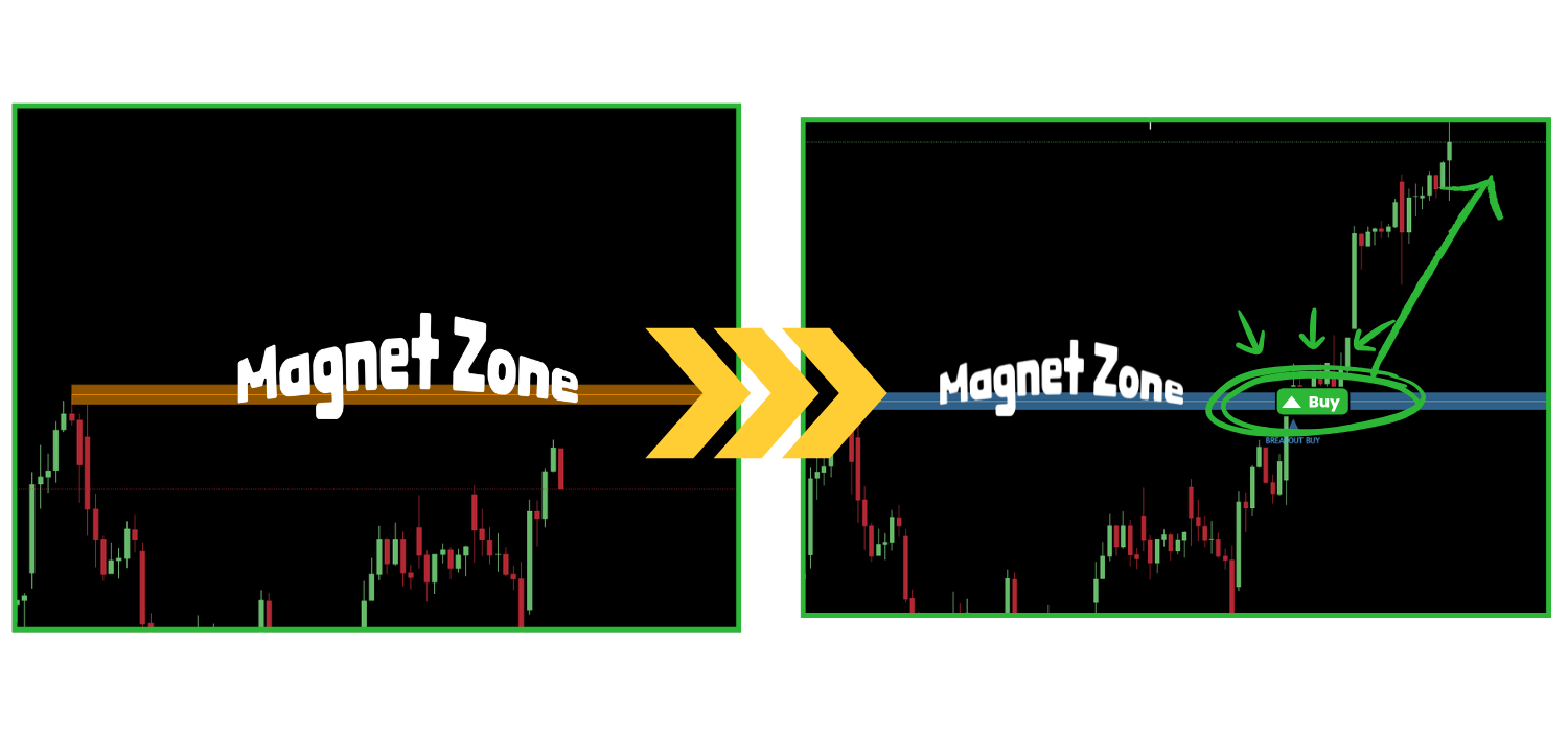 Magnizone Indicator